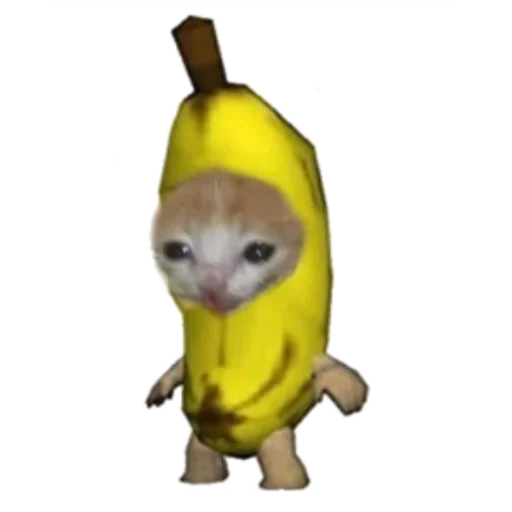 Стикер Мемные коты