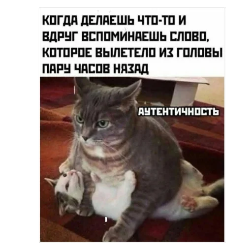 Стикер Мемы