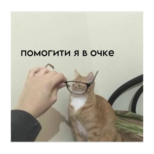 Стикер Мемы