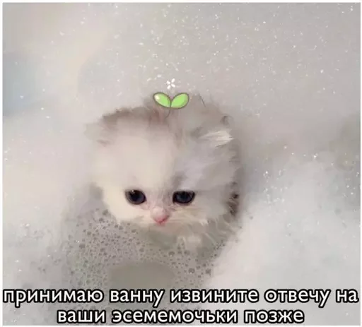 Стикер Миу боты