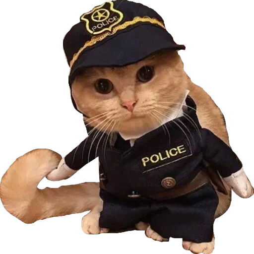 Стикер Мяу Please