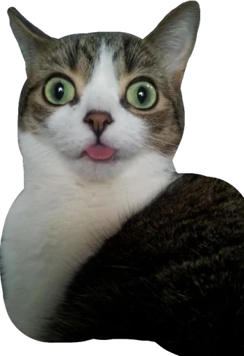 Стикер Мяу Please