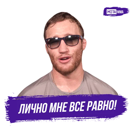 Стикер Meta MMA | UFC