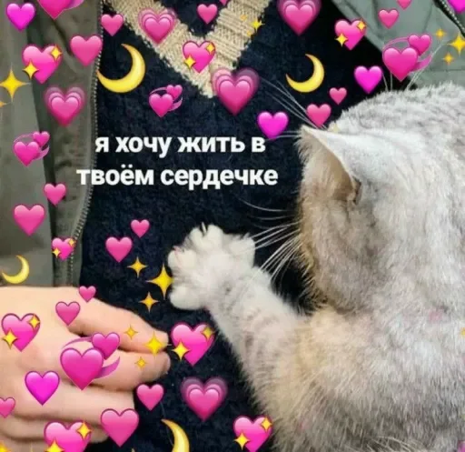 Стикер Милые Котики