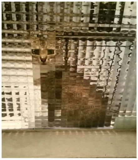 Стикер Minecraft Cats