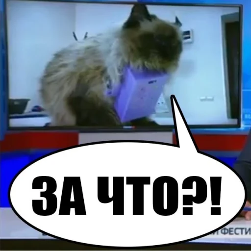 Стикер ура Нифёдов!!!)))