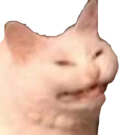 Стикер MogoPack