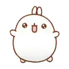 🐰