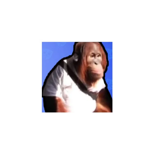 Стикер Monkeys