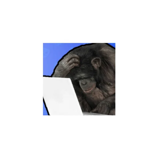 Стикер Monkeys