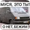 Стикер Мошонкэ и не только