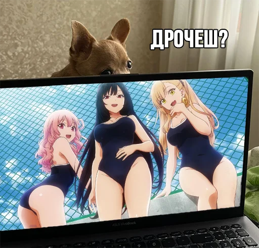 Стикер МурМарсік