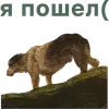 Стикер Muzey Izo