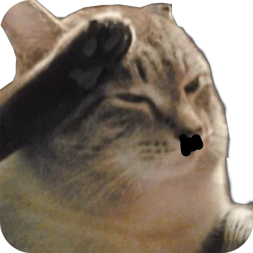 Стикер Мои скиторы