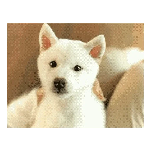 Стикер Мягкая шапочка