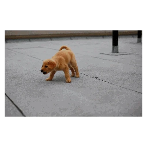 Стикер Мягкая шапочка