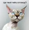 Стикер По району на десяточке