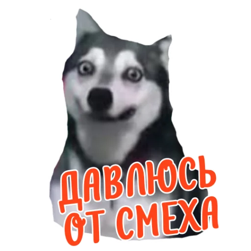 Стикер Ne ODNA