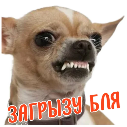 Стикер Ne ODNA