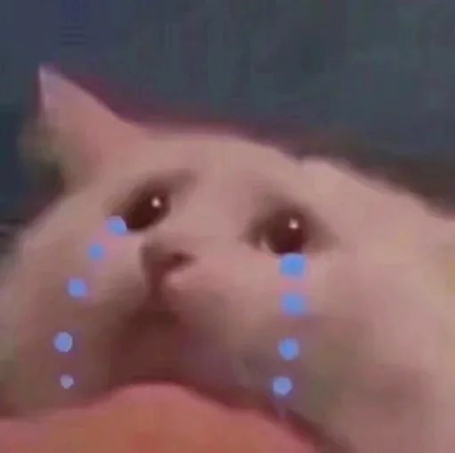 Стикер китики