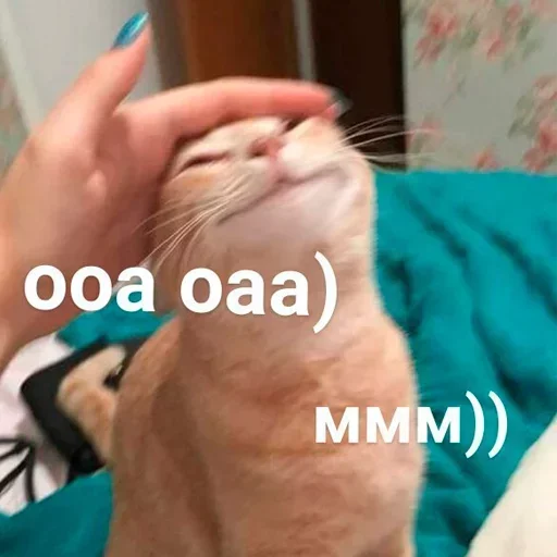 Стикер Стики которые мы заслужили