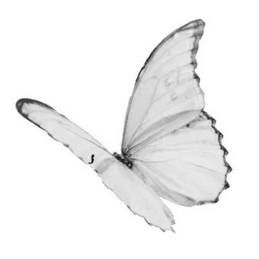 Стикер light paradise