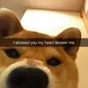 Стикер Милые Песики