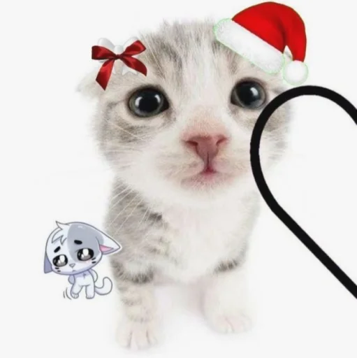 Стикер нг котики