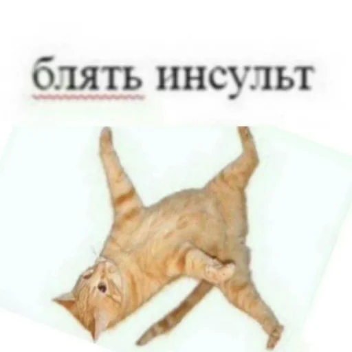 Стикер newcyxapi