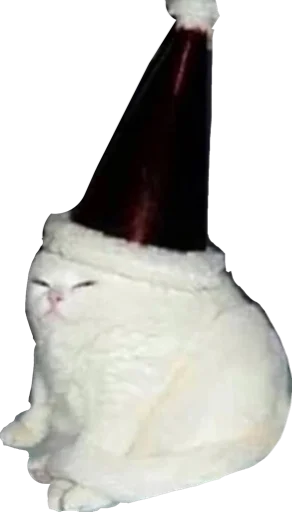 Стикер Regretti Spaghetti