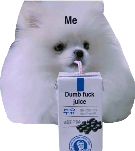 Стикер Regretti Spaghetti