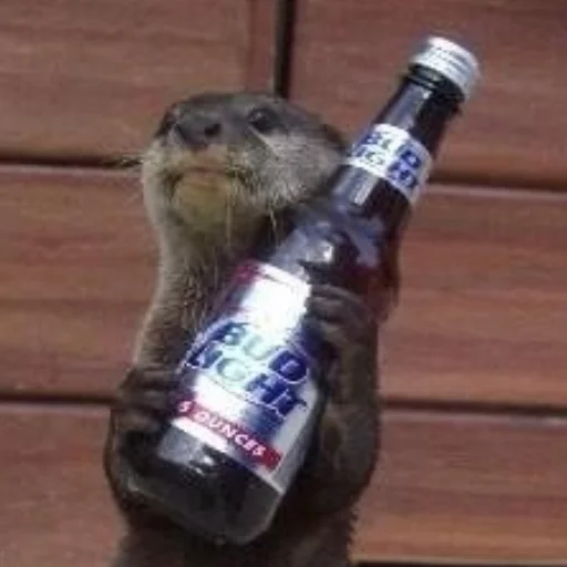 Стикер otter