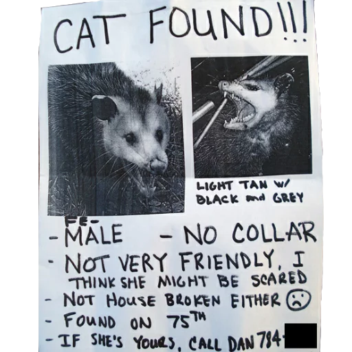 Стикер Ох уж эти опоссумы