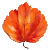 Эмодзи осенние листья