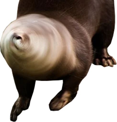 Стикер Otters Gotta Ott 4