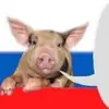 Стикер Ответы/Нет негативу