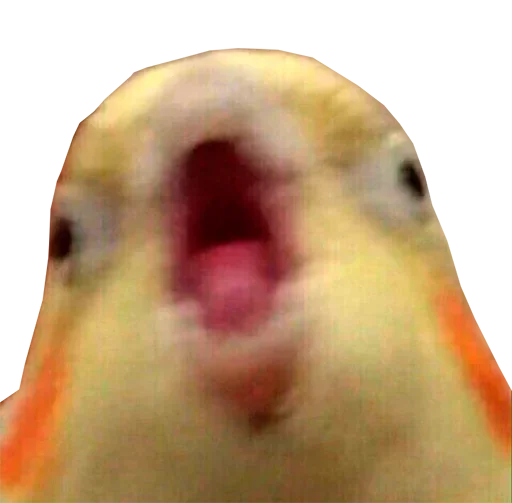 Стикер Папужки