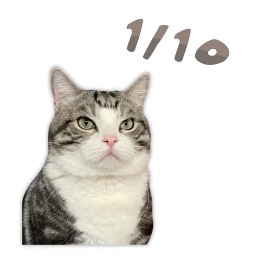 Стикер Panchan