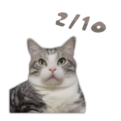 Стикер Panchan