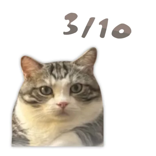 Стикер Panchan