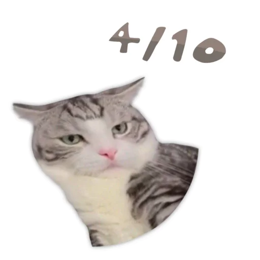 Стикер Panchan