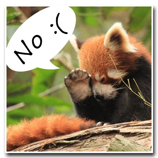 Стикер Pands Attack Us