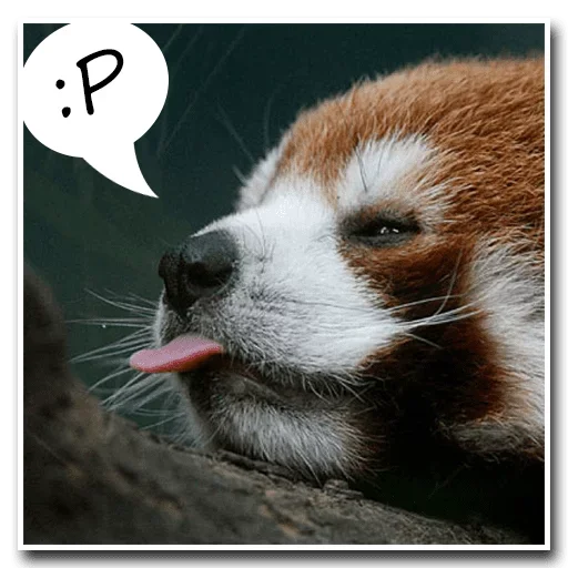 Стикер Pands Attack Us