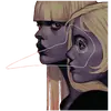 Стикер P a r a g u a s