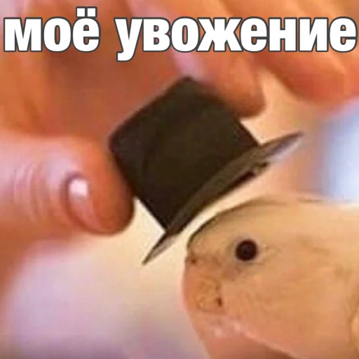 Стикер Попуги