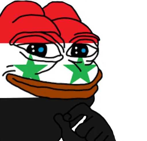 🇸🇾