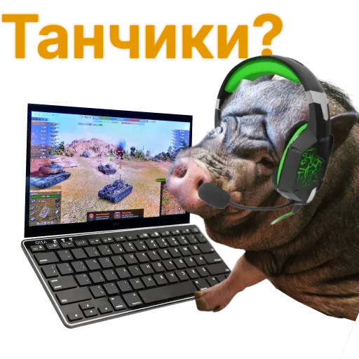 Стикер Свинья-Кулинар