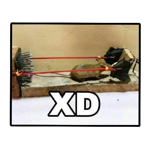 Стикер Пикчи (ingysk64)