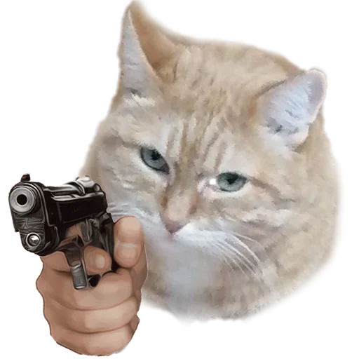 Стикер Котики с пистолетами