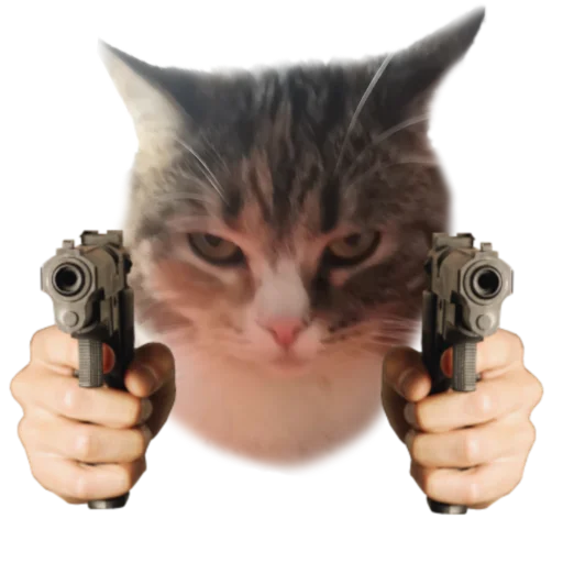 Стикер Котики с пистолетами